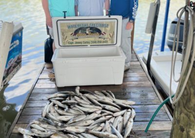 Waterfowl Specialist Guide Service Fishing Charter