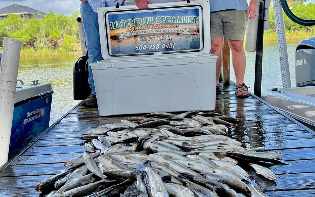 How to Catch Speckled Trout From Shore in Louisiana (A Captain’s Playbook)