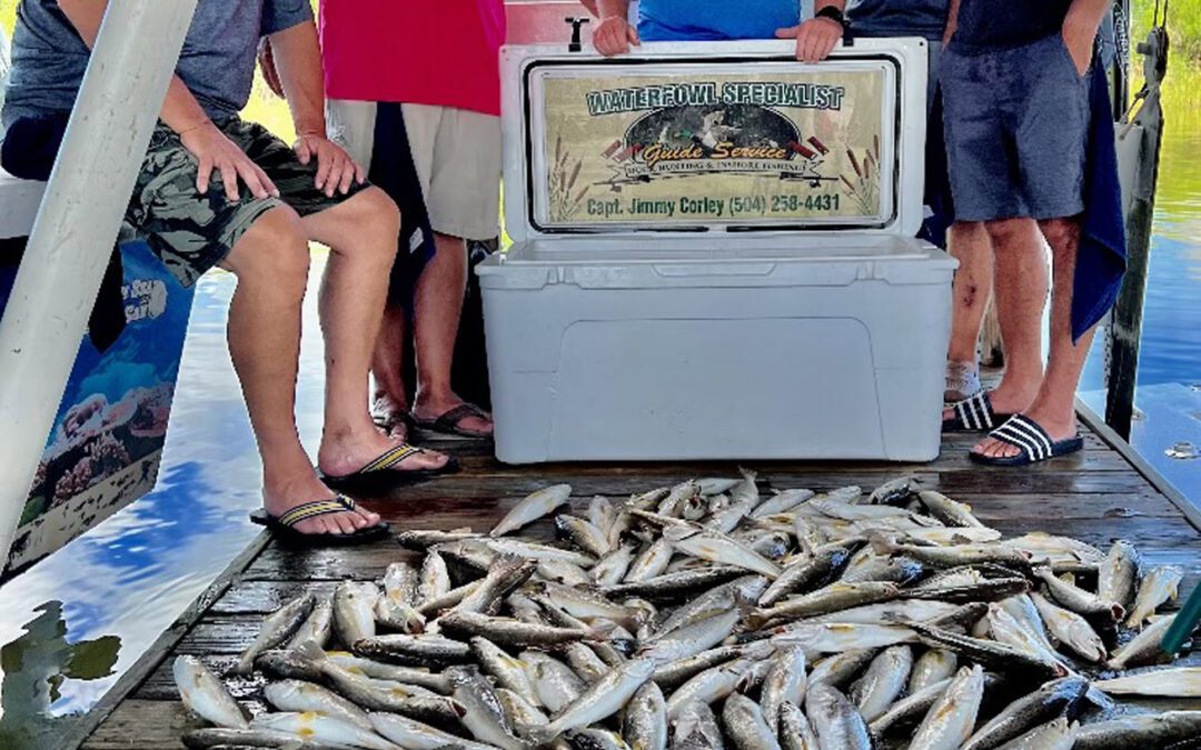 Speckled Trout Rigs: The Best Setups for Fishing Near New Orleans