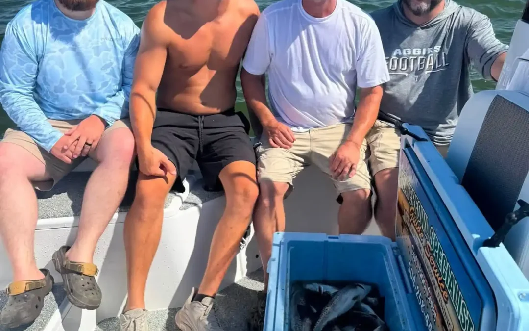 Trout Are Loaded Up in Shell Beach Right Now